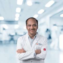Dinesh V Kamath